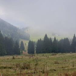 Blick hinunter, es lichtet sich