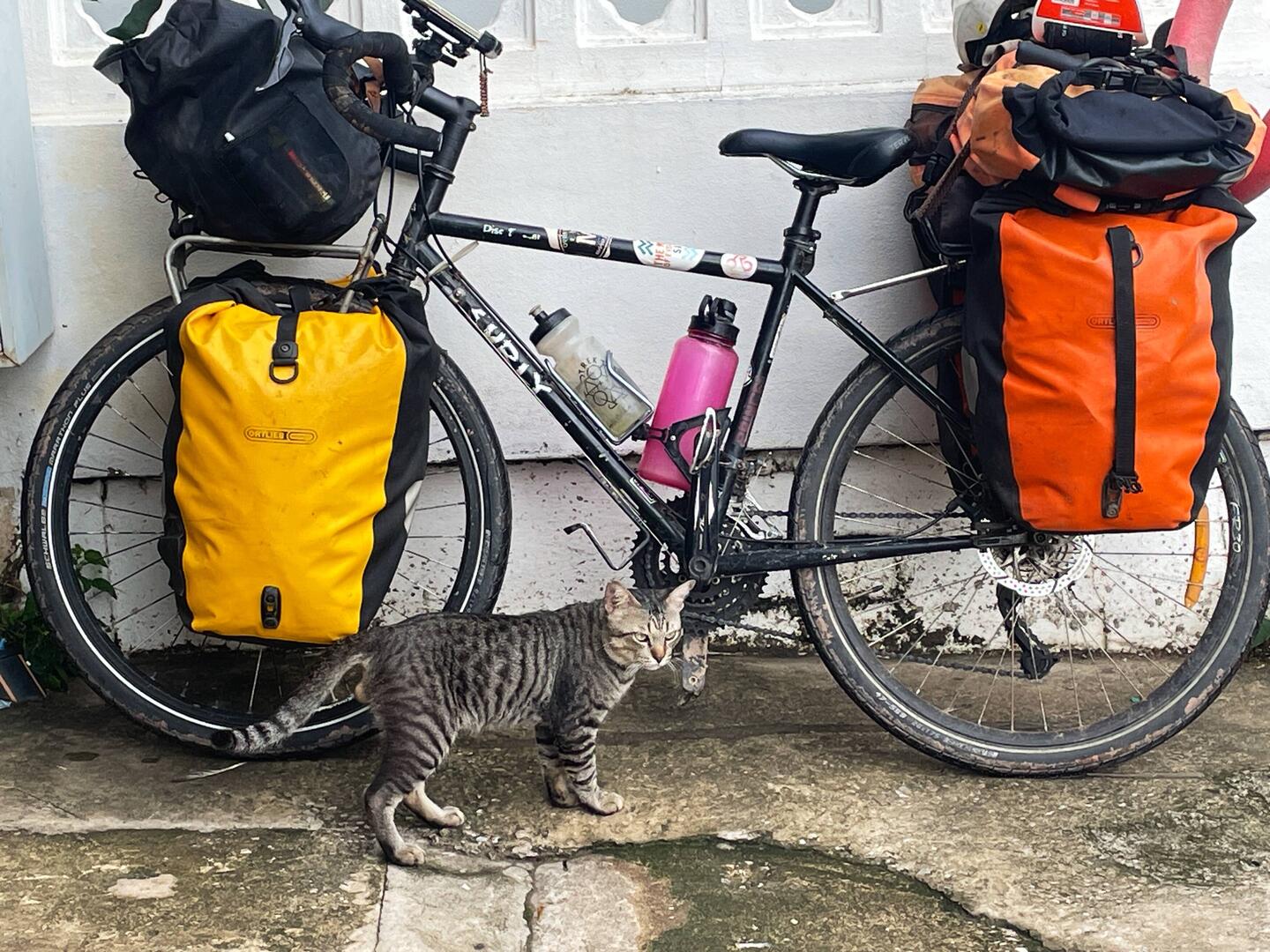 Looking for a ride