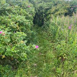 Der Weg zum Kitespot