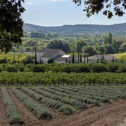 Wanderung nach Bonnieux