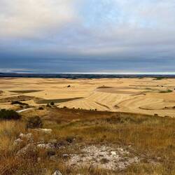 Meseta