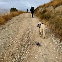 Sunny und weiter oben Norbert