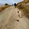 Sunny und weiter oben Norbert