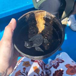 Little Mars jr. 🥰