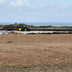 Die Austern-Farmer an der Arbeit