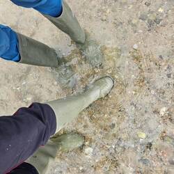 Einfach ein schönes Gefühl🤓