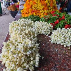 Duftende Ketten aus Jasminblüten