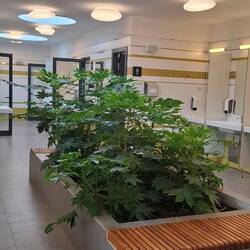 Sanitäranlage