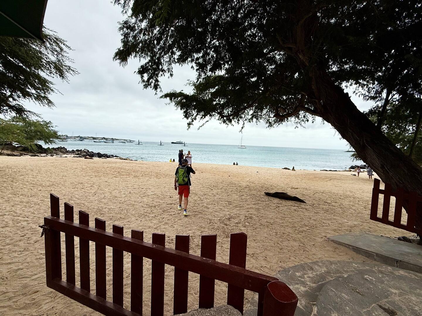 Playa Mann