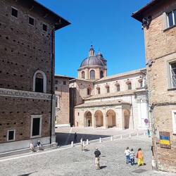 Urbino