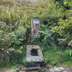 An der Ilsequelle gibt es Heilwasser.