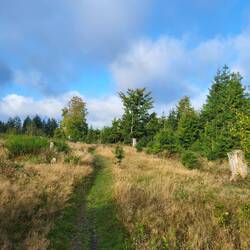 Das Gras ist noch nass.