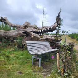 Da setze ich mich vorsichtshalber nicht hin.😳