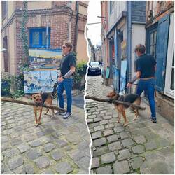 Das ist situationskomik