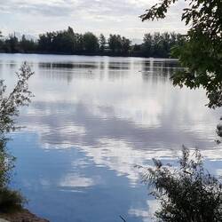 Herrlicher See bei Speyer