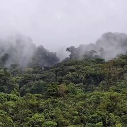 Wanderung El Pianista