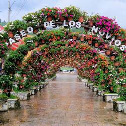 Parque Domingo Medica