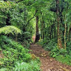 Wanderung El Pianista