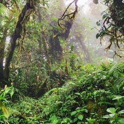 Wanderung El Pianista