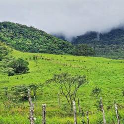 Wanderung El Pianista