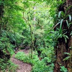 Wanderung El Pianista