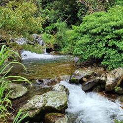 Wanderung El Pianista