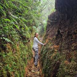 Wanderung El Pianista