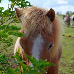 Bisschen schüchtern.