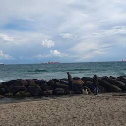19 Schiffe in Sicht