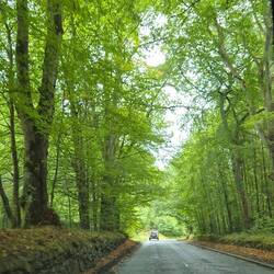 A back road