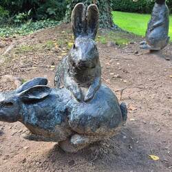 Peter Rabbit