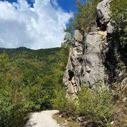 Felsen ragen aus dem Wald