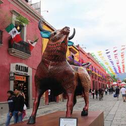 On the streets of Oaxaca.