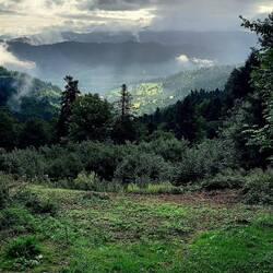 Blick ins Kinzigtal