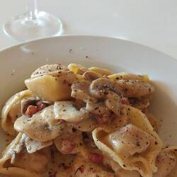 Heute mal Pasta 🧄🍄‍🟫🧅🍅🧀