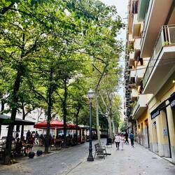 Avenue Gaudi