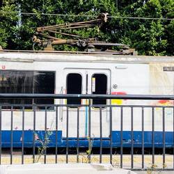 Los trenes de Perlora