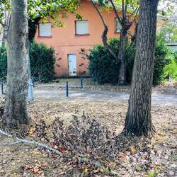 Historia congelada en hormigón y salitre.