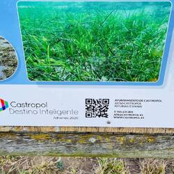 Castropol es un pintoresco pueblo marinero en Asturias, con casco histórico, vistas a la ría del Eo,