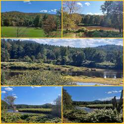 Die ersten Grüße des Indian Summer