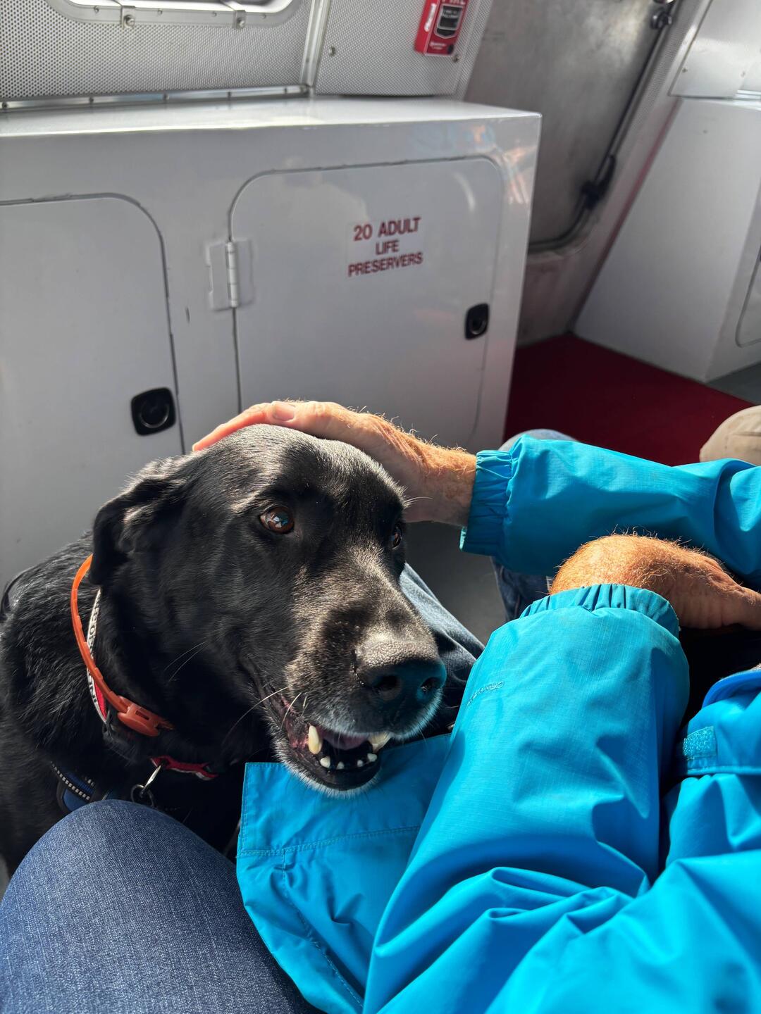 Indy getting to do lots of new stuff, boat rides and daycare.