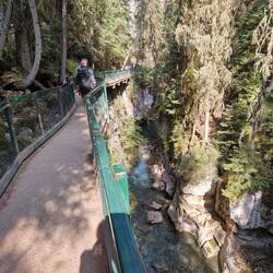 ....im Johnston Canyon auf dem Weg zu den Wasserfällen...
