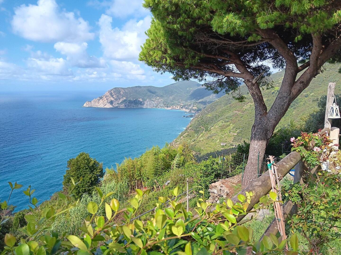 Looking north towards Monterosso from Casa Valeria
