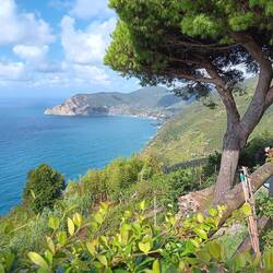 Looking north towards Monterosso from Casa Valeria