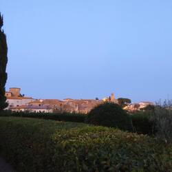 Blick auf Campagnatico