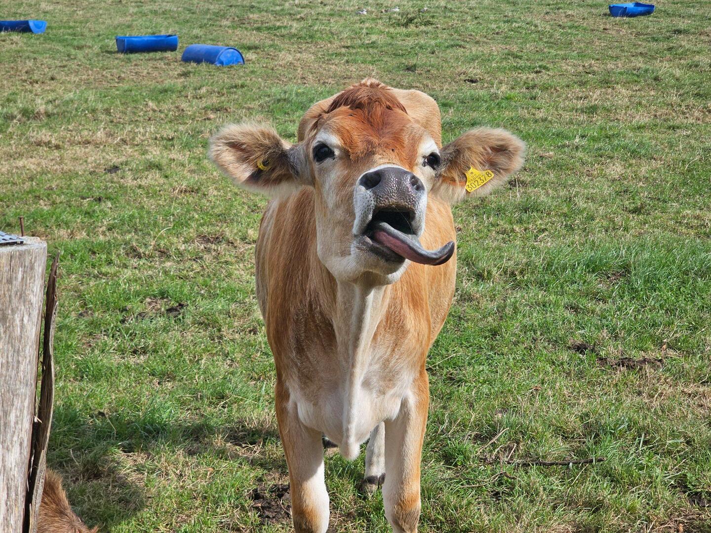 Willkommen auf der Woodlands-Farm