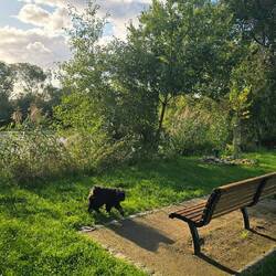 Nettes Plätzchen an der Lahn.