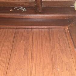 En Baby Tokay Gecko 🦎