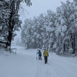 Auf dem Weg den Schnee zu inspizieren