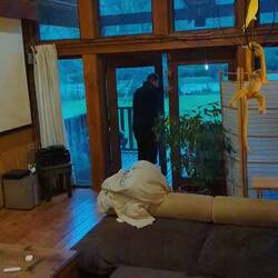 Teddy durfte mal ins Haus, war ihm aber nicht so ganz geheuer